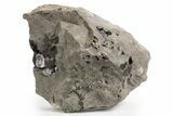 Herkimer Diamonds in Matrix - The Ace of Diamonds Mine, New York #324473-2